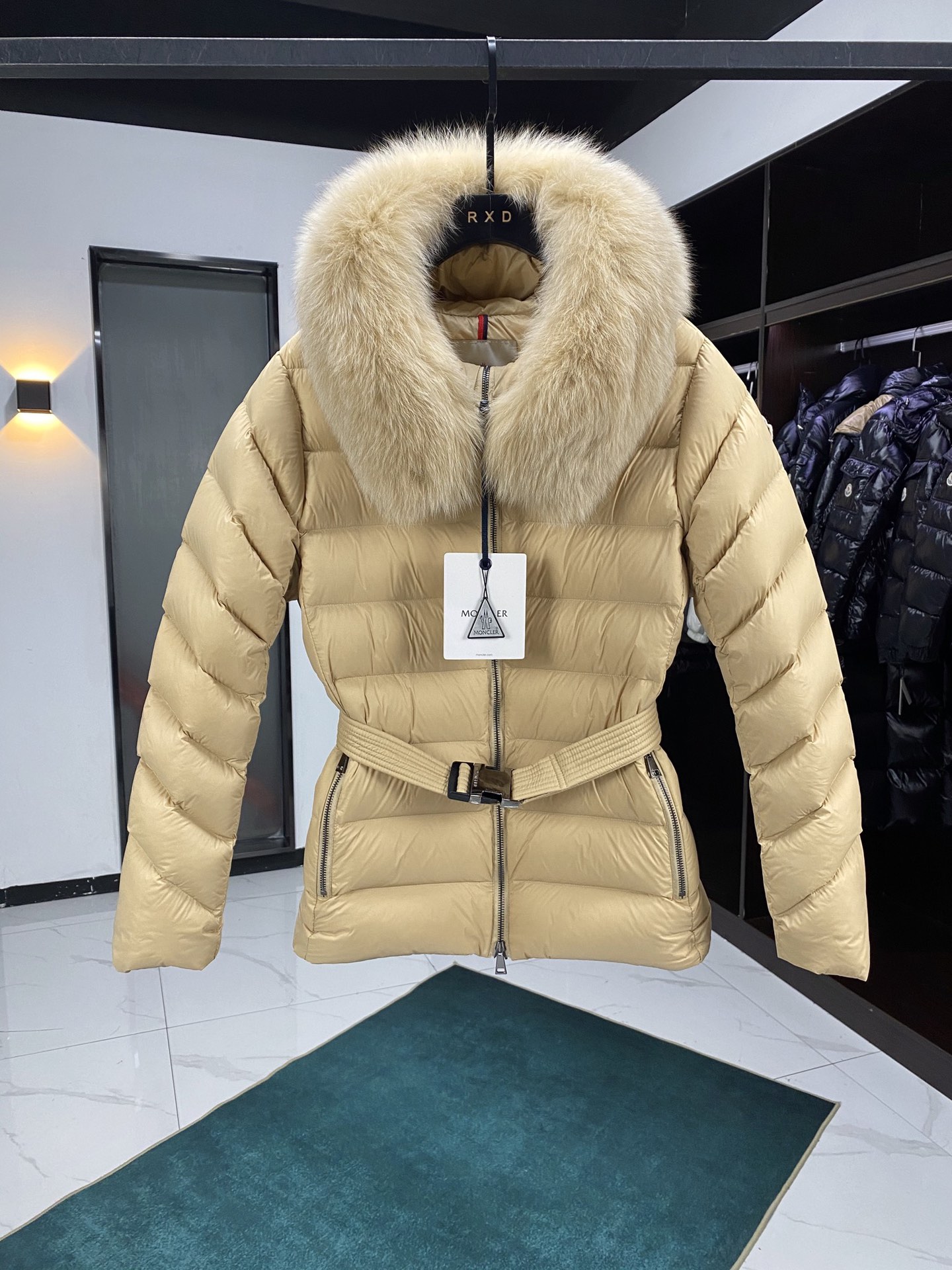 Moncler Down Jackets